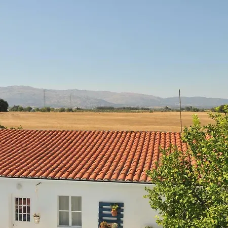 Guest house Casa Da *